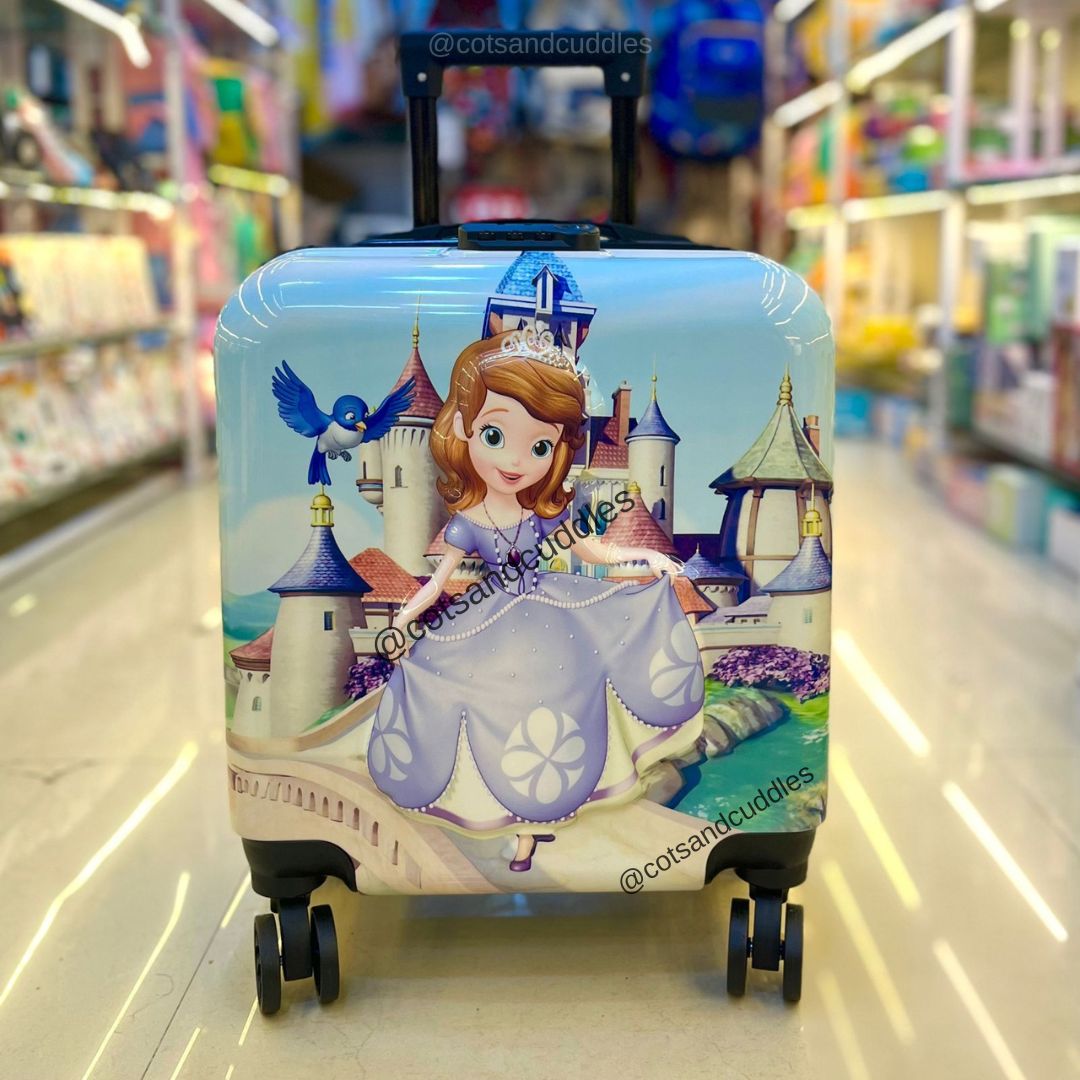 Stylish cheap trolly bag