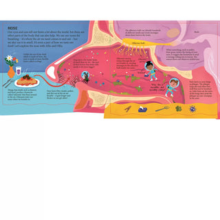 Let's Go: Inside The Human Body Board book