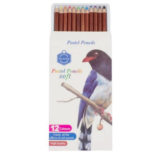 12 Colors Soft Pastel Pencils for Art and Craft