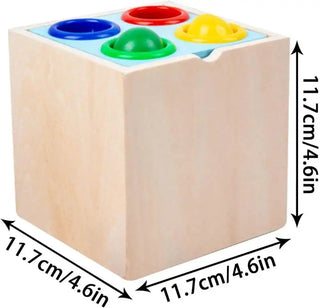 5 in 1 Wooden Montessori Toys