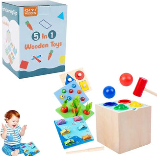 5 in 1 Wooden Montessori Toys