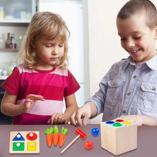 5 in 1 Wooden Montessori Toys