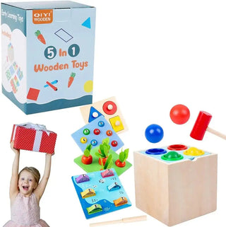 5 in 1 Wooden Montessori Toys