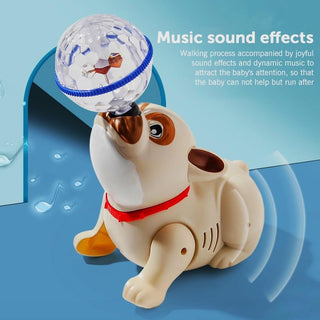 Dog Musical Toy with 360° Spin, Light & Sound