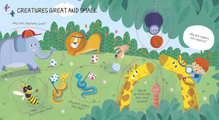 Animals Board book