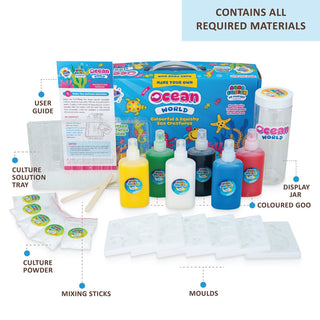 Aqua Squish Ocean World Kit