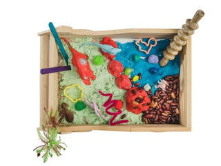 Dinosaur Exploration Sensory Kit