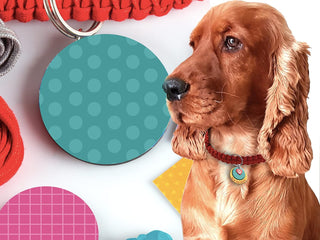 Pawfect Gifts Craft Kit for Dog Lover