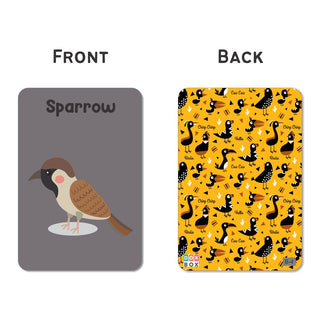 Birds Flash Cards for Kids