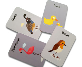 Birds Flash Cards for Kids