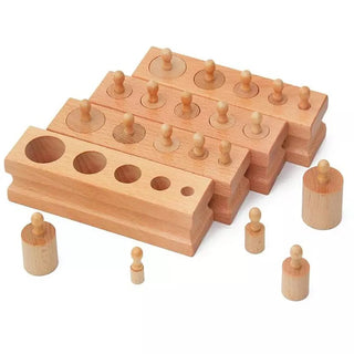 Wooden Montessori Cylinder Blocks Colourful Educational Toys